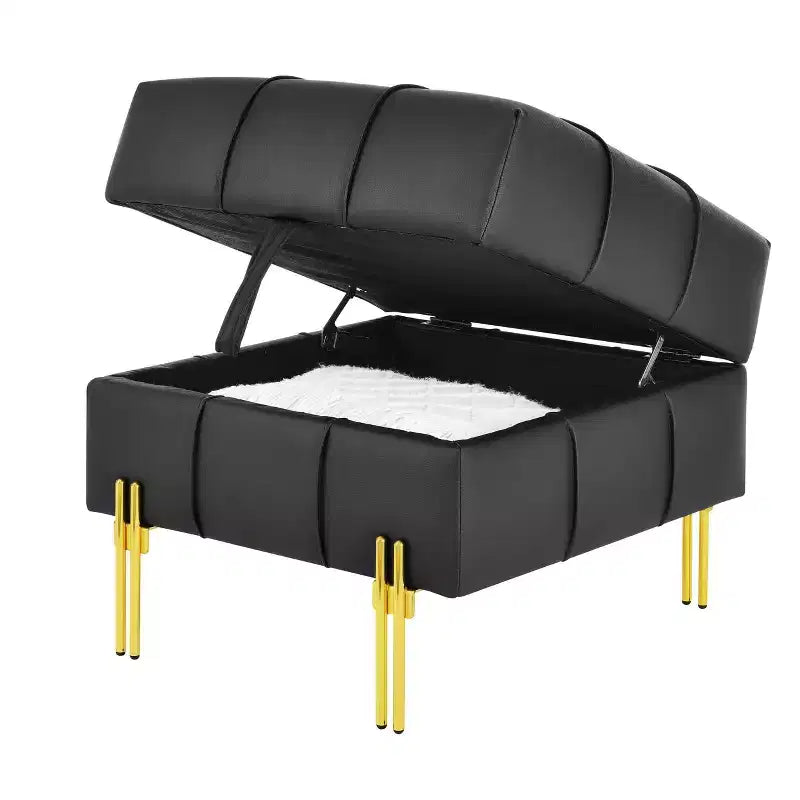 22 Pollici Pouf Contenitore in Pelle Antigraffio con Gambe in Acciaio Inox Dorato, Panchina da Ingresso Adatta agli Animali Domestici, Nero