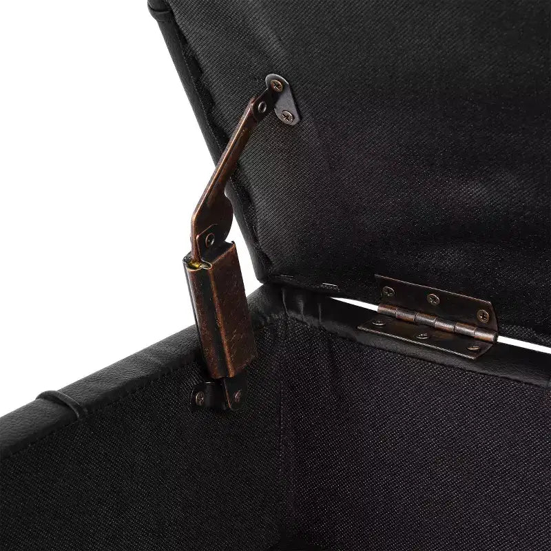 22 Pollici Pouf Contenitore in Pelle Antigraffio con Gambe in Acciaio Inox Dorato, Panchina da Ingresso Adatta agli Animali Domestici, Nero