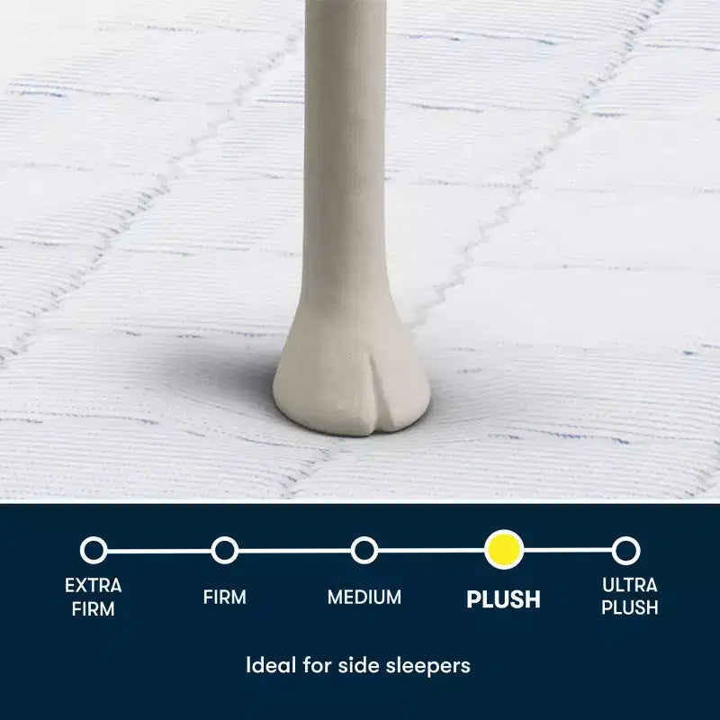 Materasso Five Star 12 Plush Pillow Top